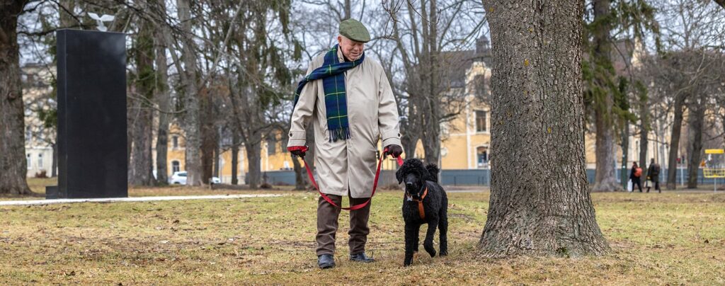 Varje morgon går Rolf Erenius en promenad runt Strömmen med sin vän Hektor, en storpudel. Bild: FotograFia
